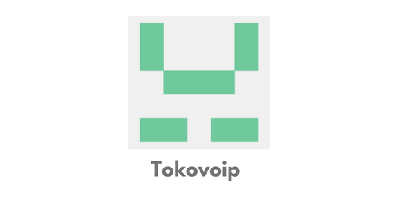 Tokovoip main image